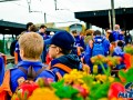 Dag 1-74